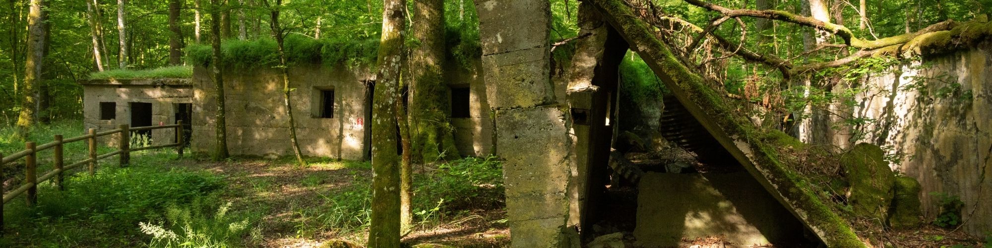 Ruines du Camp Marguerre.