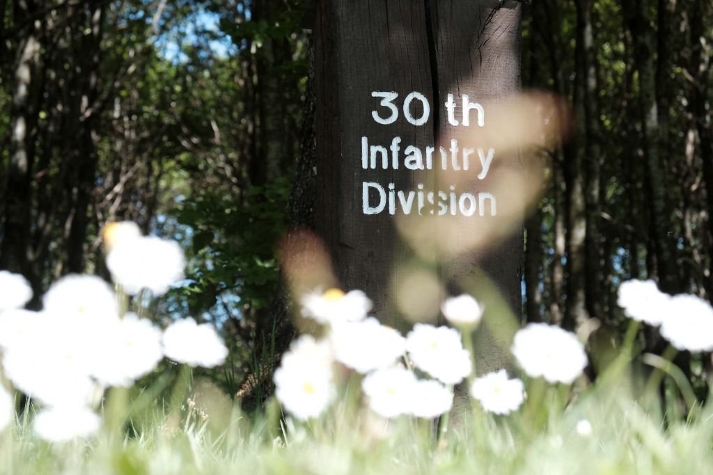 Tree in honor of the 30th Infantry Division